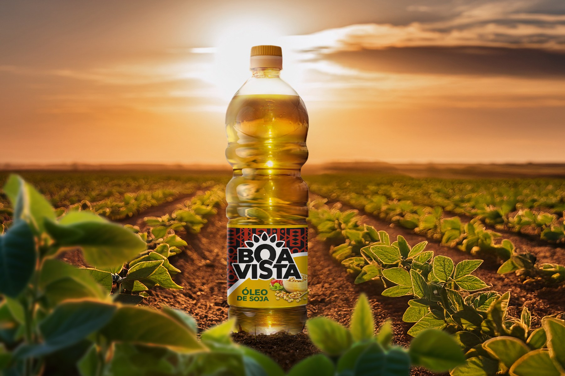 Boavista packaging
